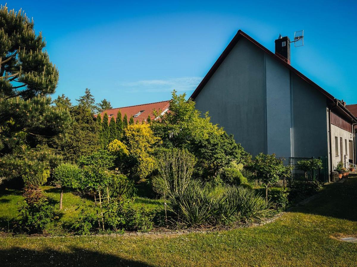 Pokoje Na Orzeszkowej Kamien Pomorski Extérieur photo